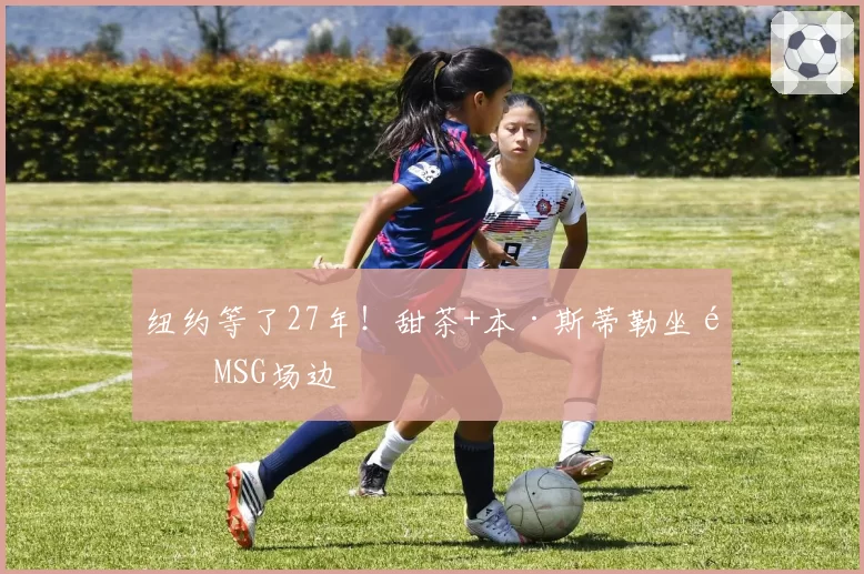 纽约等了27年!甜茶+本·斯蒂勒坐镇MSG场边