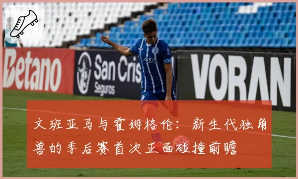 文班亚马与霍姆格伦：新生代独角兽的季后赛首次正面碰撞前瞻